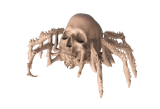 Armored Spider