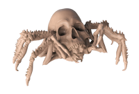 Armored Spider