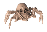 Armored Spider