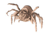 Armored Spider