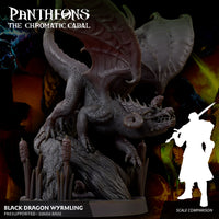 Black Wyrmling - The Chromatic Cabal
