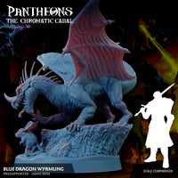 Blue Wyrmling - The Chromatic Cabal