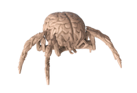 Brain Spider