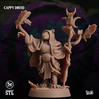 Cappy Druid, Moonsoon