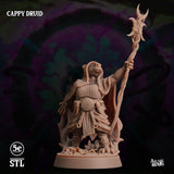 Cappy Druid, Moonsoon