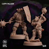 Cappy Paladin, Moonsoon
