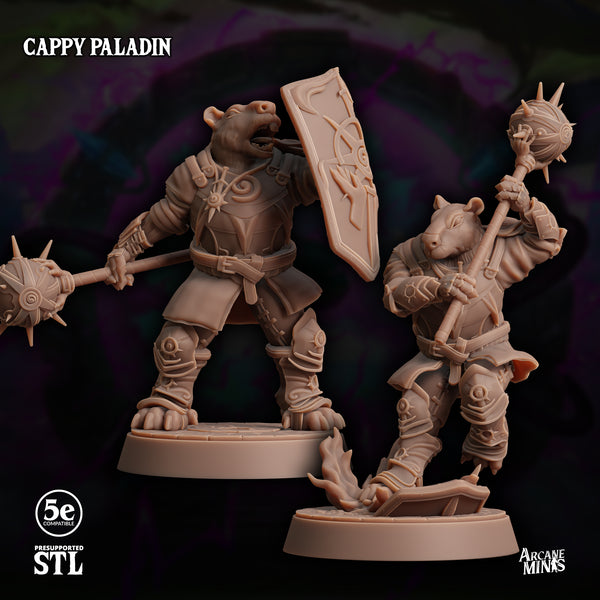 Cappy Paladin, Moonsoon