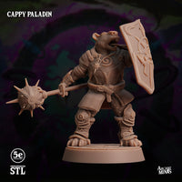 Cappy Paladin, Moonsoon