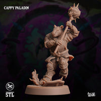 Cappy Paladin, Moonsoon