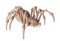 Giant Spider