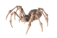 Giant Spider