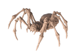 Giant Spider