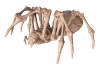 Giant Spider