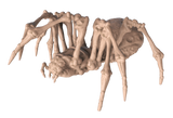 Giant Spider