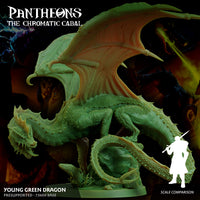 Young Green Dragon - The Chromatic Cabal