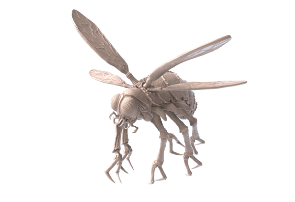 Killer Fly
