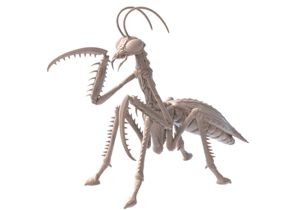 Mega Mantis