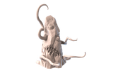 Roper