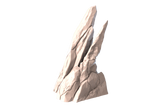 Roper