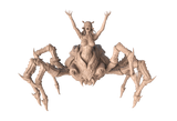 Spider Queen