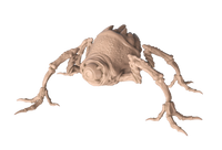 Stun Spider