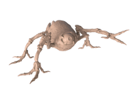 Stun Spider