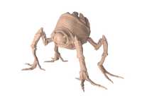 Stun Spider