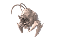 Swiger Bug