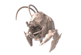Swiger Bug