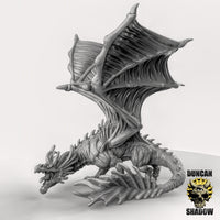 High Elf Dragon, Duncan Shadow