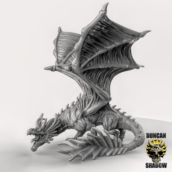 High Elf Dragon, Duncan Shadow