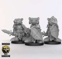 Raccoonfolk Paladin