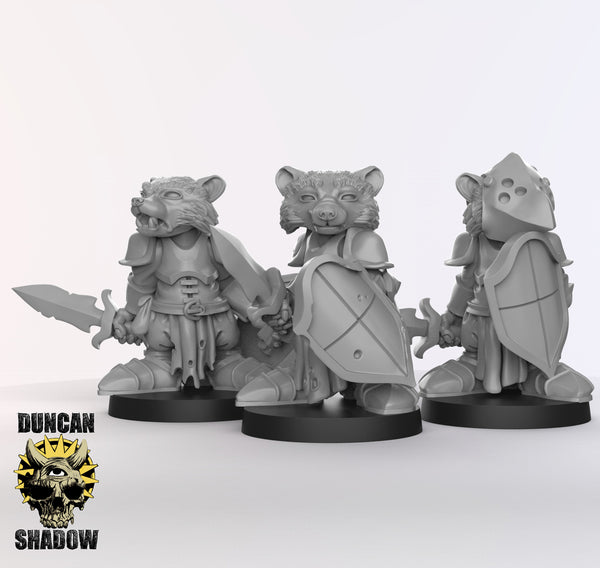 Raccoonfolk Paladin