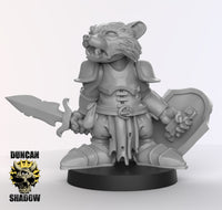 Raccoonfolk Paladin