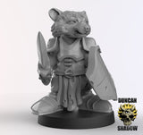 Raccoonfolk Paladin