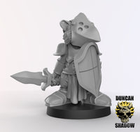 Raccoonfolk Paladin