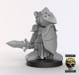 Raccoonfolk Paladin