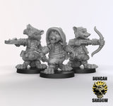 Raccoonfolk Rogue