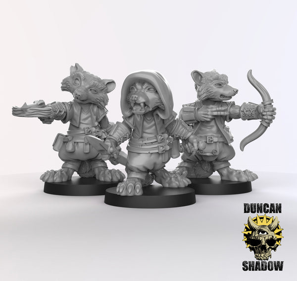 Raccoonfolk Rogue