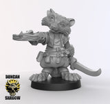 Raccoonfolk Rogue