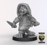Raccoonfolk Rogue
