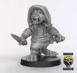 Raccoonfolk Rogue