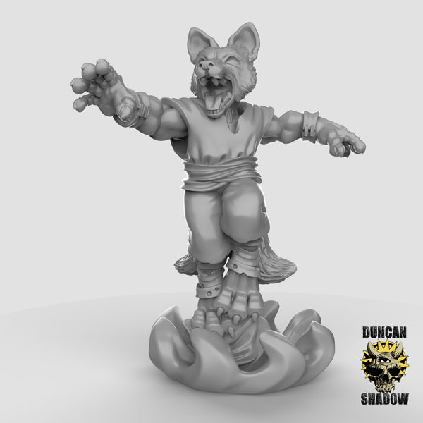 Fox Sorcerer