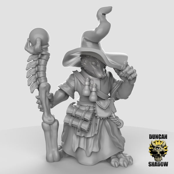 Fox Wizard