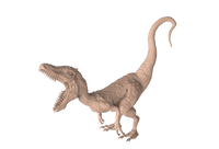 Wild Lizard
