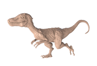 Wild Lizard