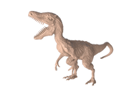 Wild Lizard