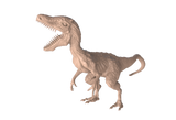 Wild Lizard
